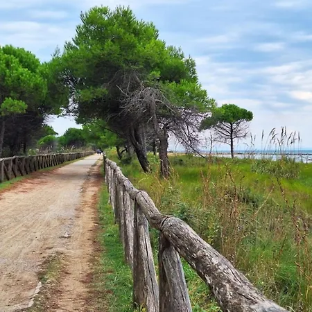 Bright Flat With Shared Swimming Pool Bibione