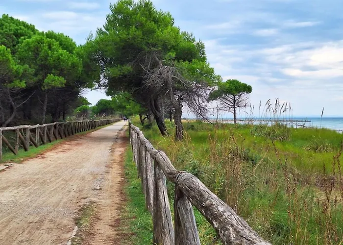 Bright Flat With Shared Swimming Pool Bibione